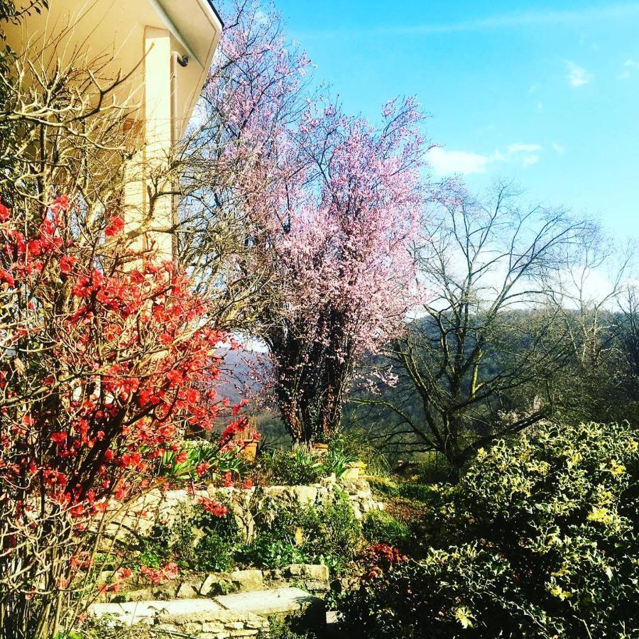 La Valle B&B Brescia Exteriör bild